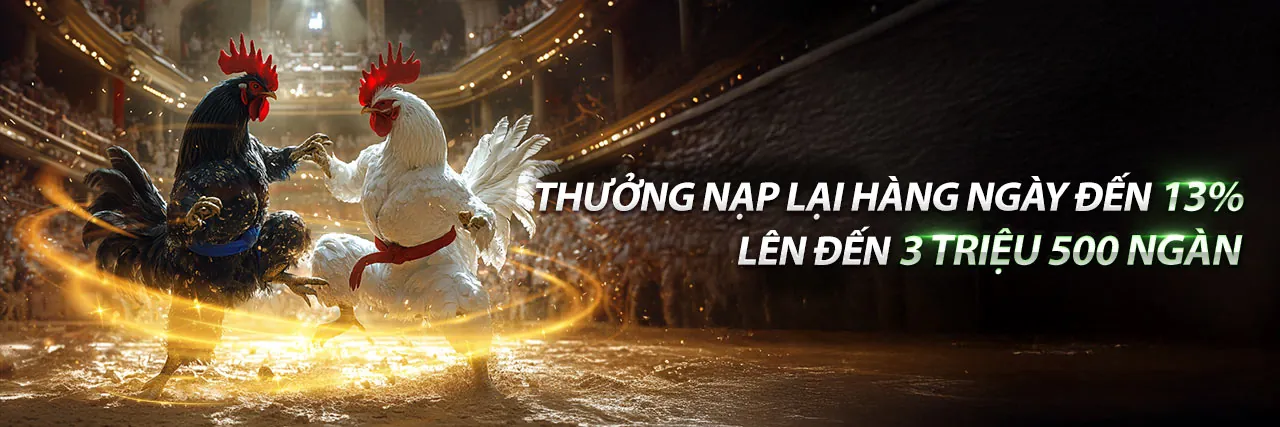 Đá Gà bcx88 – Sân Chơi Cá Cược Hấp Dẫn Nhất